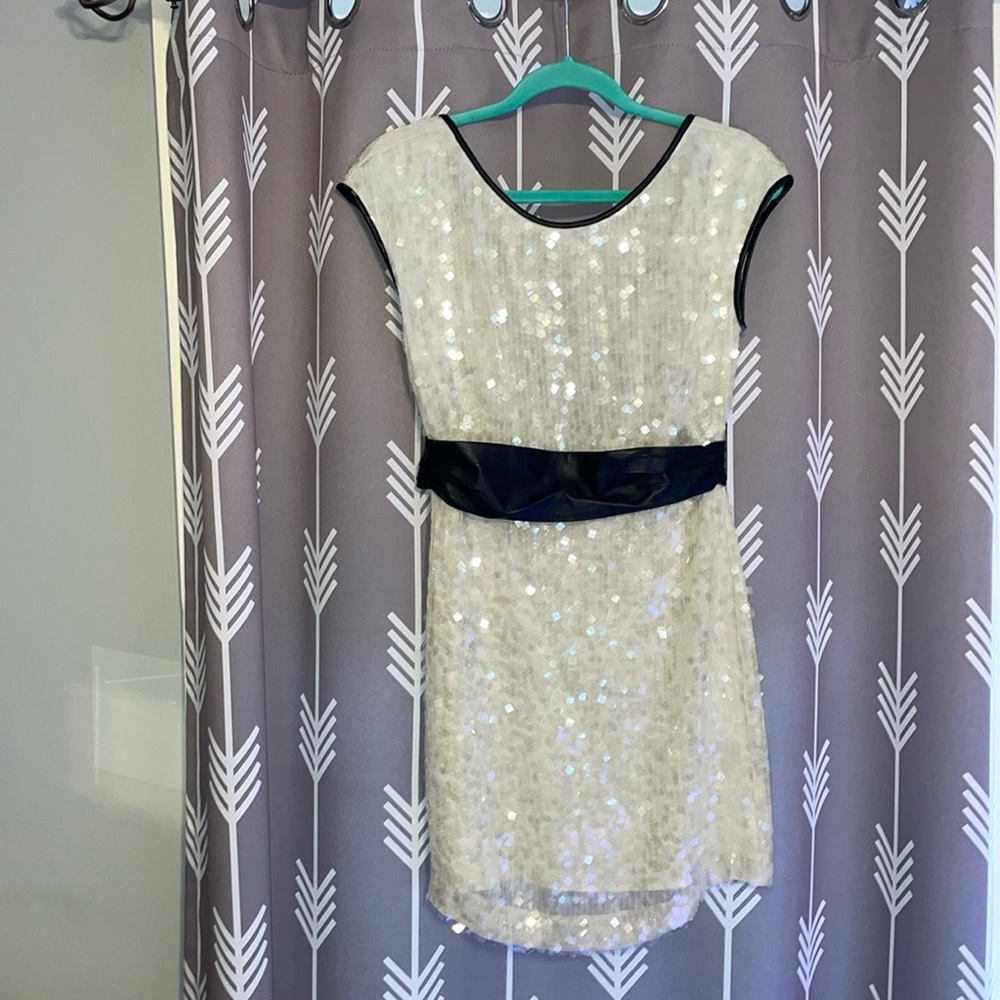 Stella & Jamie Silk Sequin Dress (NWT)